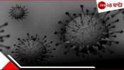 Human Coronavirus: কলকাতায় মহিলার দেহে বিরল হিউম্যান করোনাভাইরাস! বাড়ছে বিপদ, উপসর্গ জানুন... 
