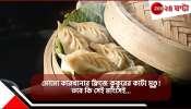 Dogs Head Found In Momo Factory Fridge: নামী মোমো কারখানার ফ্রিজে জমানো কুকুরের কাটা মাথা! তবে কি...  