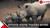Rhino population increases: বাংলায় বাড়ছে গন্ডারের সংখ্যা, শুমারির রিপোর্টে চমক দিল গরুমারা...