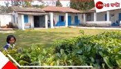 Jalpaiguri: মিড ডে মিল কেড়ে নেয়, ক্লাস দখল করে থাকে বানরের দল, আতঙ্কে বন্ধ হওয়ার জোগাড় প্রাইমারি স্কুল
