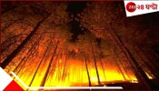 South Korea Deadly wildfires: ভয়াবহ আগুনে পুড়ছে প্রায় ৪০ হাজার হেক্টর এলাকা! ইতিহাসের সবচেয়ে বড় দাবানলে মৃত্যু...