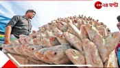 Hilsa: প্রকৃতির প্রতিশোধ? ইলিশ কেন ঢুকতে পারছে না নদীতে? বদলের বাংলাদেশে কমে আসছে ইলিশের উৎপাদন!