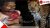 Labourer Punches Leopard: চিতাবাঘের মুখে মারণ ঘুসি! লেপার্ডের সঙ্গে চা-শ্রমিকের মরণপণ লড়াইয়ের শেষে...ভয়ংকর