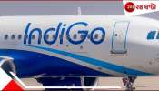 Drunk passenger molests air hostess: বিমানসেবিকাকে অশ্লীল স্পর্শ! মদ্যপ যাত্রীর তাণ্ডব, হেনস্থার অভিযোগ, বিমানবন্দরে নামতেই...