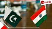 India Pakistan Ceasefire: সংঘর্ষবিরতি! ভারতবিক্রমে আস্ফালন শেষ পাকিস্তানের...