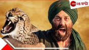 Sunny Deol kills leopard: রাস্তায় হঠাত্‍ ঘাড়ে এসে পড়ল বিশালাকার চিতা! খালি হাতেই লড়াই করে মেরে ফেললেন সানি দেওল...
