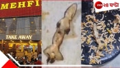 WATCH Lizard Found In Biryani: &#039;ভালোই ভেজেছে...&#039;, বিরিয়ানিতে টিকটিকি! খেতে বললেন শহরের নামী রেস্তোঁরার ম্যানেজার
