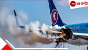 Turkish Airlines Catches Fire: ভয়ংকর! পাখির ধাক্কায় বিমানের ইঞ্জিনে আগুন... 