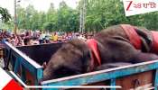 Elephant Death: দুর্ঘটনা না হ*ত্যা? লাইনে তিন হাতির অপমৃ*ত্যু, রেলের উচ্চ পর্যায়ের তদন্ত কমিটি...