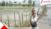 Flooded by Teesta: তিস্তার জলে তলিয়ে কয়েকশো বিঘে কৃষিজমি! আতঙ্কিত কৃষকদের আর্তিতে ক্ষতিপূরণের আর্জি...
