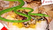 Snake In Curry: ইস! ট্যালটেলে তরকারিতে ঘুরছে সাপ! মা বাচ্চাদের সঙ্গে নিয়ে খেতে বসেছিলেন, দেখেই!! ছিঃ...