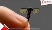 World&#039;s Smallest Drone: দুনিয়ার সবচেয়ে ভয়ংকর অস্ত্র এটি, প্রবল শক্তিশালী শত্রুকে ধ্বংস করতে পারে অনায়াসে....