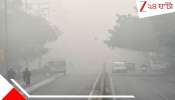 Bengal Weather Update: রবি থেকেই হাওয়া বদল! বাড়বে তাপমাত্রা! কবে পড়বে জাঁকিয়ে ঠান্ডা?