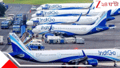 IndiGo Airline: ভাড়ার প্লেনে শুরু দুই বন্ধুর, আজ দেশের বৃহত্তম বিমান সংস্থা, ইন্ডিগোর মোট সম্পদ...