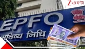 PF Hike Big News: নিউ ইয়ারের আগেই বিগ বিগ নিউজ! EPFO বাড়াতে পারে PF সুদের হার! উল্লসিত কোটি কোটি...