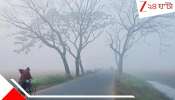 Bengal Weather Update: উত্তুরে কনকনে হাওয়া! শীত একেবারে জমজমাট, আগামী সাতদিন...