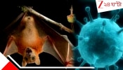 Nipah Virus in Kolkata: কোভিডের থেকেও মারাত্মক নিপা ভাইরাস হানা দিয়েছে কলকাতায়! উপসর্গ নিয়ে হাসপাতালে ভর্তি ২ নার্স...