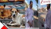 500 dogs killed: বিষ ইনজেকশন দেওয়ার ১ মিনিটেই লুটিয়ে পড়ছে মাটিতে! ৫০০ পথকুকুরকে নির্বিচারে খুন...ভয়ংকর ভিডিয়ো!