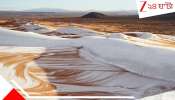 Sahara Desert Snowfall Explained: ৫৮ ডিগ্রির 'তপ্ত কড়াই' সাহারা ঢাকল সাদা বরফে! পৃথিবীর বৃহত্তম উষ্ণ মরুভূমির বুকে কেন এই বিরল-অবাস্তব তুষারপাত? 