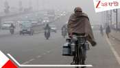 Bengal Weather Update: যাওয়ার আগে শেষ কামড় শীতের! উইকেন্ডে নামবে পারদ...