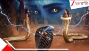 Woman becomes Snake: ঘরের চেনা মেয়েটি আসলে সাপ? ঘুমের মধ্যেই তরুণী ঘর থেকে উধাও, বিছানায় পড়ে সাপের খোলস! 'ইচ্ছাধারী নাগিন'?