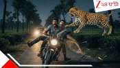 Leopard Attack: চলন্ত বাইকের উপর মৃত্যুদূতের উপর হামলে পড়ল... দুই ব্যবসায়ীকে ছিঁড়েখুঁড়ে... 