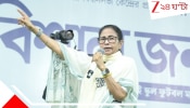Mamata Banerjee: ভোটের আগে বড় বড় ভাষণ, ১৫ লক্ষ অ্যাকাউন্টে ঢুকেছে?: শাহি সংকল্পপত্রে পালটা মমতা