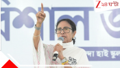Mamata Banerjee: আমরাও দেখতে চাই, কাকে কাকে গ্রেফতার করতে চান:  ওপেন চ্যালেঞ্জ মমতার