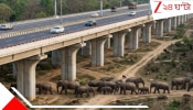Asia's Longest Wildlife Corridor: উপর দিয়ে উড়ে চলে যাচ্ছে জাতীয় সড়ক, নীচে ছুটে বেড়াচ্ছে বন্য জন্তুর দল 