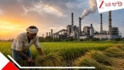 Operation Kisan: কৃষকের ইউরিয়া চুরি করে প্লাইউড বানাচ্ছে কারখানা, ২০ হাজার কোটির কেলেঙ্কারি ফাঁস