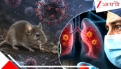 Hantavirus Scare: ভয়ংকর হান্টাভাইরাস এবার হাসপাতালে, কোয়ারেন্টাইনে ১২ কর্মী