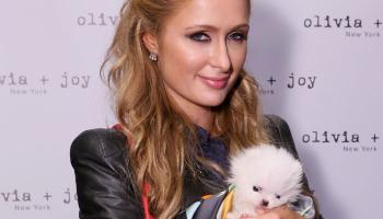 এবার বিয়ে করে মা হতে চাইছেন প্যারিস 