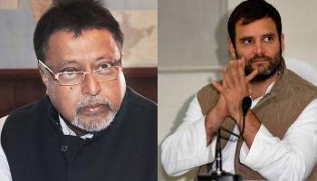 মুকুল রায়কে নিয়ে খোঁজখবর রাহুল গান্ধীর