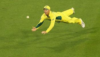 ডেভিড ওয়ার্নার ২৯