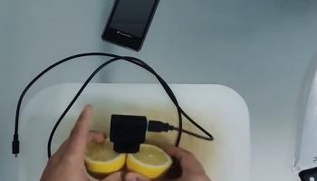 একটা পাতিলেবু আপনার ফোনকে চার্জ দেবে সবসময়! দেখুন ভাইরাল ভিডিও