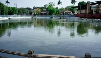 হেদুয়ায় সাঁতার শিখতে নেমে ছাত্রীর মৃত্যু