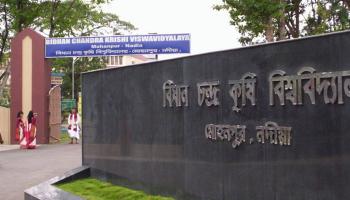 জ্যোতিষির বিধানে সাজছে বিধানচন্দ্র কৃষি বিশ্ববিদ্যালয়ের উপাচর্যের বাসভবন