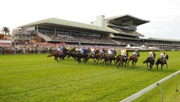 নগদের অভাবে ক্যাশলেস রেস খেললেন রসিকরা