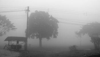 ঠান্ডার কামড়ে পঞ্জাবের অম্বালাকে টেক্কা দিল বঙ্গের কোচবিহার