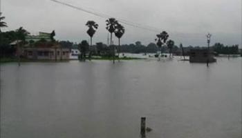 বালির বস্তা দিয়ে বাঁধ তৈরি করতে নেমেছেন বর্ধমানের জামালপুরের বেড়ুগ্রামের বাসিন্দারা