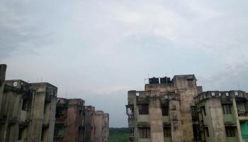 স্মার্টফোনের টানে 'ভোকাট্টা' চাঁদিয়াল, পেটকাটি