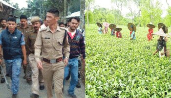 দোলের আগে চা-বাগান থেকে উদ্ধার আসল জিনিস.. 