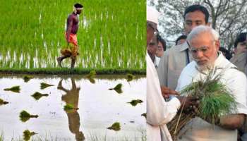 লোকসভা নির্বাচনের আগে কৃষকদের ব্যাঙ্ক অ্যাকাউন্টে মোটা টাকা দিতে পারে মোদী সরকার