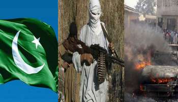 ভারতে সাম্প্রদায়িক হিংসা ছড়াতে ছক পাকিস্তানের মদতপুষ্ট জঙ্গিদের, দাবি মার্কিন গোয়েন্দা রিপোর্টে