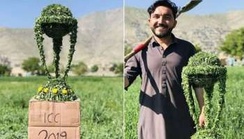 ঘাসের বিশ্বকাপ বানিয়ে চমক, স্রষ্টাকে খুঁজছে আইসিসি