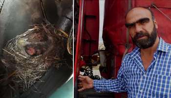 ইঞ্জিনে ডিম-সহ পাখির বাসা, দেড় মাস বসে রইলেন ট্রাকচালক