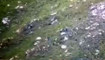 নিয়ন্ত্রণরেখায় সেনা গুলি চালাতেই প্রাণ নিয়ে পালাল পাক জঙ্গিরা, দেখুন ভিডিয়ো