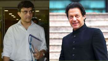 সৌরভ গাঙ্গুলির সঙ্গে ইমরান খানের তুলনা করলেন 'রাওয়ালপিণ্ডি এক্সপ্রেস'