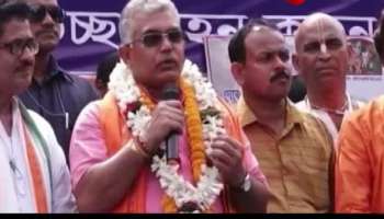 This is why cow milk is yellowish 