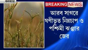 Pintu at Arabian sea stops the mercury drop 